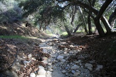 Enlarge photo 50