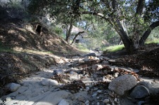 Enlarge photo 51