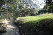 Enlarge photo 53