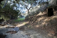Enlarge photo 55