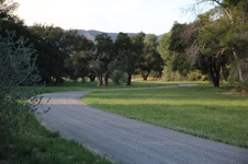 Enlarge photo 67