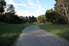 Enlarge photo 69