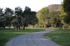 Enlarge photo 70