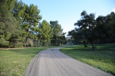 Enlarge photo 71