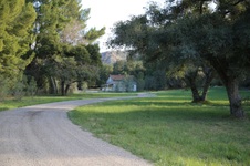 Enlarge photo 72