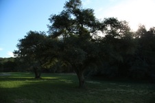 Enlarge photo 73