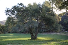 Enlarge photo 76