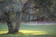 Enlarge photo 77