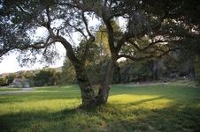 Enlarge photo 78