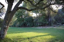 Enlarge photo 80