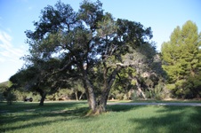 Enlarge photo 81