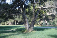 Enlarge photo 82