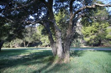 Enlarge photo 83