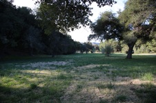 Enlarge photo 84