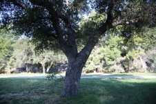 Enlarge photo 86