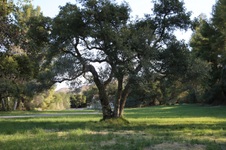 Enlarge photo 87