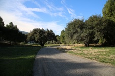 Enlarge photo 88