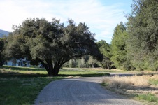 Enlarge photo 89