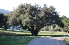 Enlarge photo 90