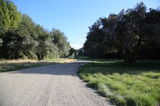 Enlarge photo 95