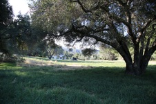 Enlarge photo 102