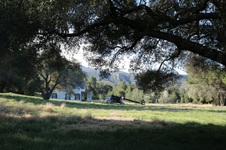 Enlarge photo 103