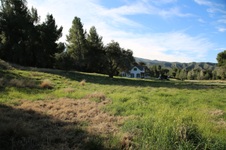 Enlarge photo 104
