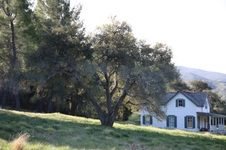 Enlarge photo 105