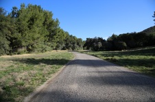 Enlarge photo 106