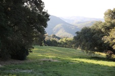 Enlarge photo 116