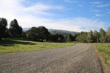 Enlarge photo 127