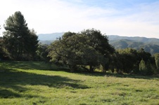 Enlarge photo 128
