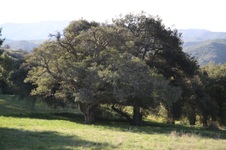 Enlarge photo 129