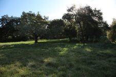 Enlarge photo 132