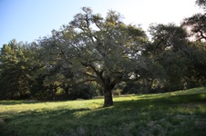 Enlarge photo 133