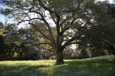 Enlarge photo 134