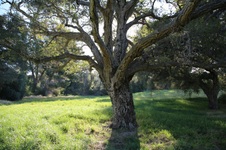Enlarge photo 136