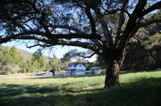 Enlarge photo 137