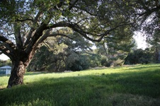 Enlarge photo 138