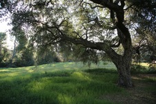 Enlarge photo 140