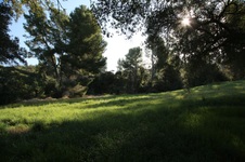 Enlarge photo 141