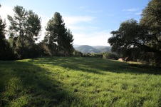 Enlarge photo 142