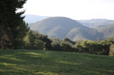 Enlarge photo 143
