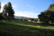 Enlarge photo 144