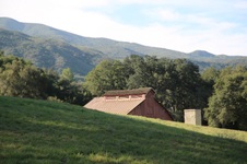 Enlarge photo 145