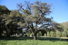 Enlarge photo 146