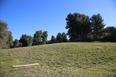 Enlarge photo 170