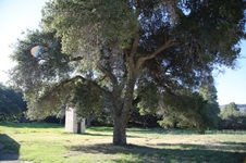 Enlarge photo 172