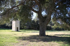 Enlarge photo 174