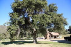 Enlarge photo 177